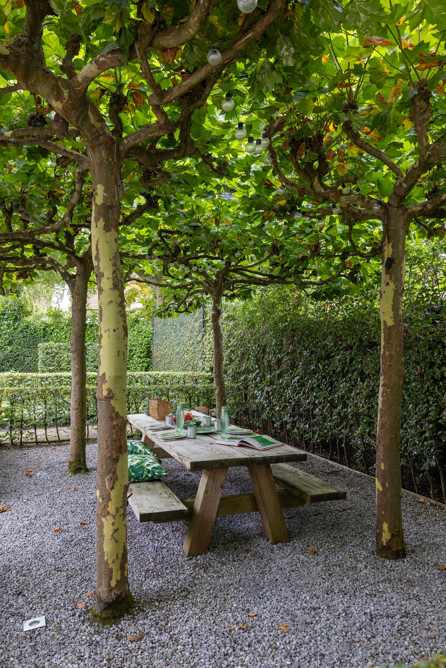 Foto 44 van Vredehofstraat 9