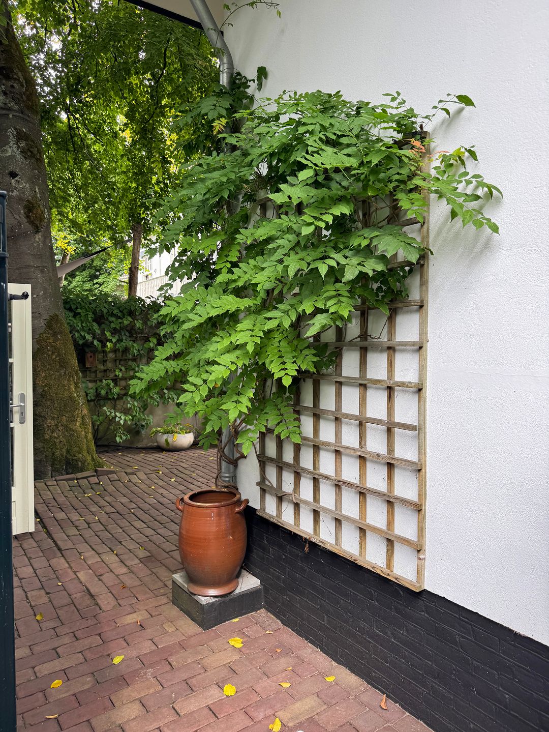 Foto 47 van Vredehofstraat 9