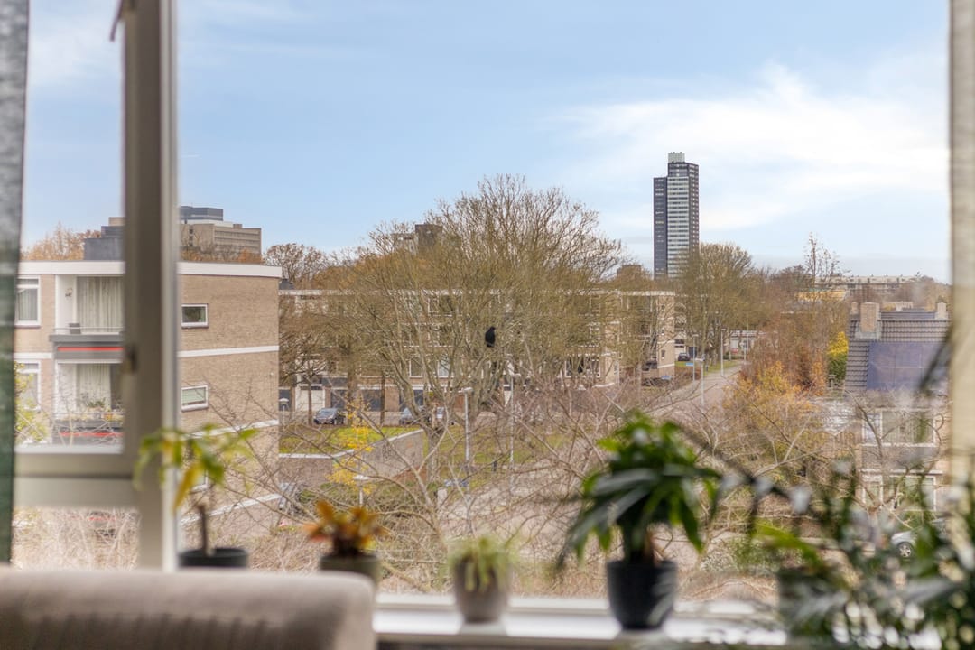 Foto 11 van Europalaan 76