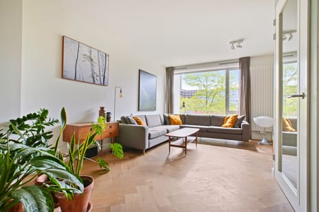 Fanny Blankers-Koenlaan thumbnail