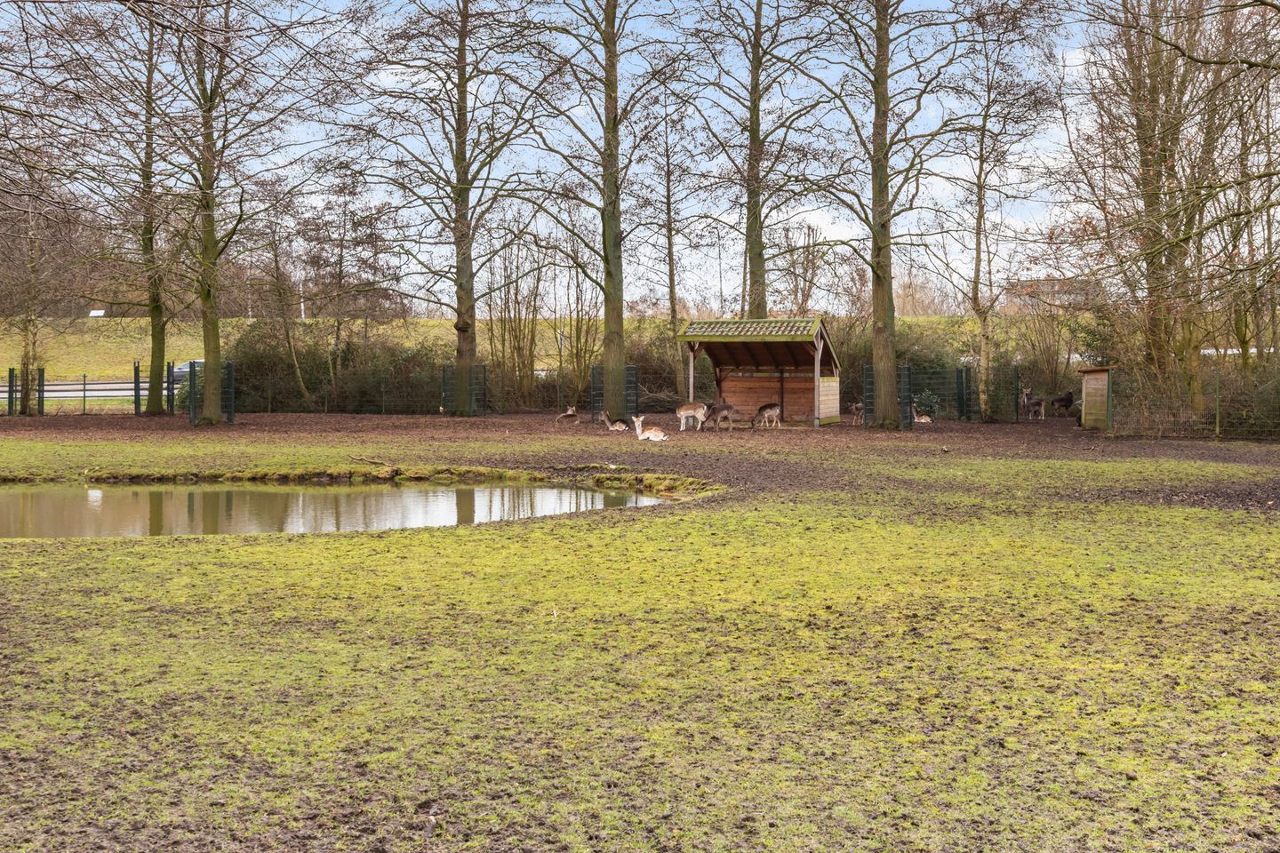 Foto 64 van de la Reylaan 36