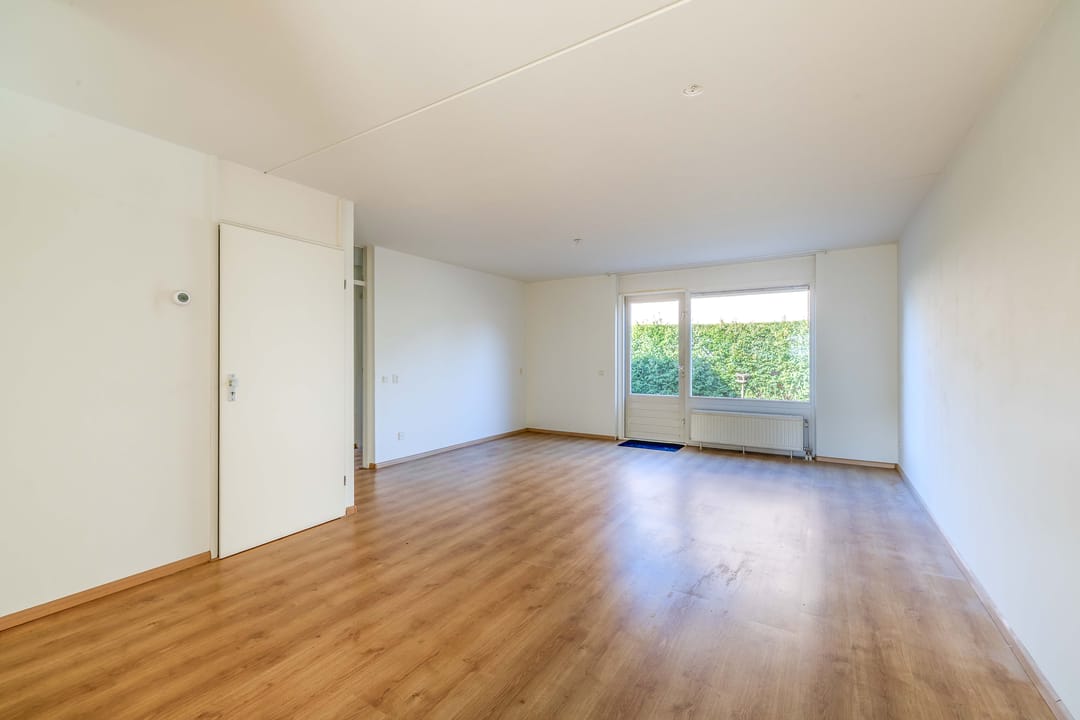 Foto 2 van Honingklaver 10