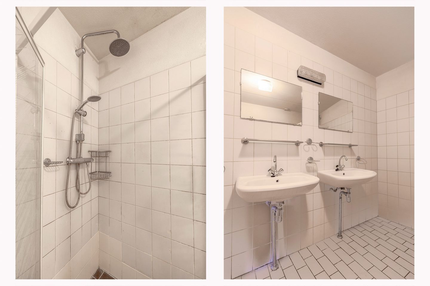 Foto 10 van Honingklaver 10