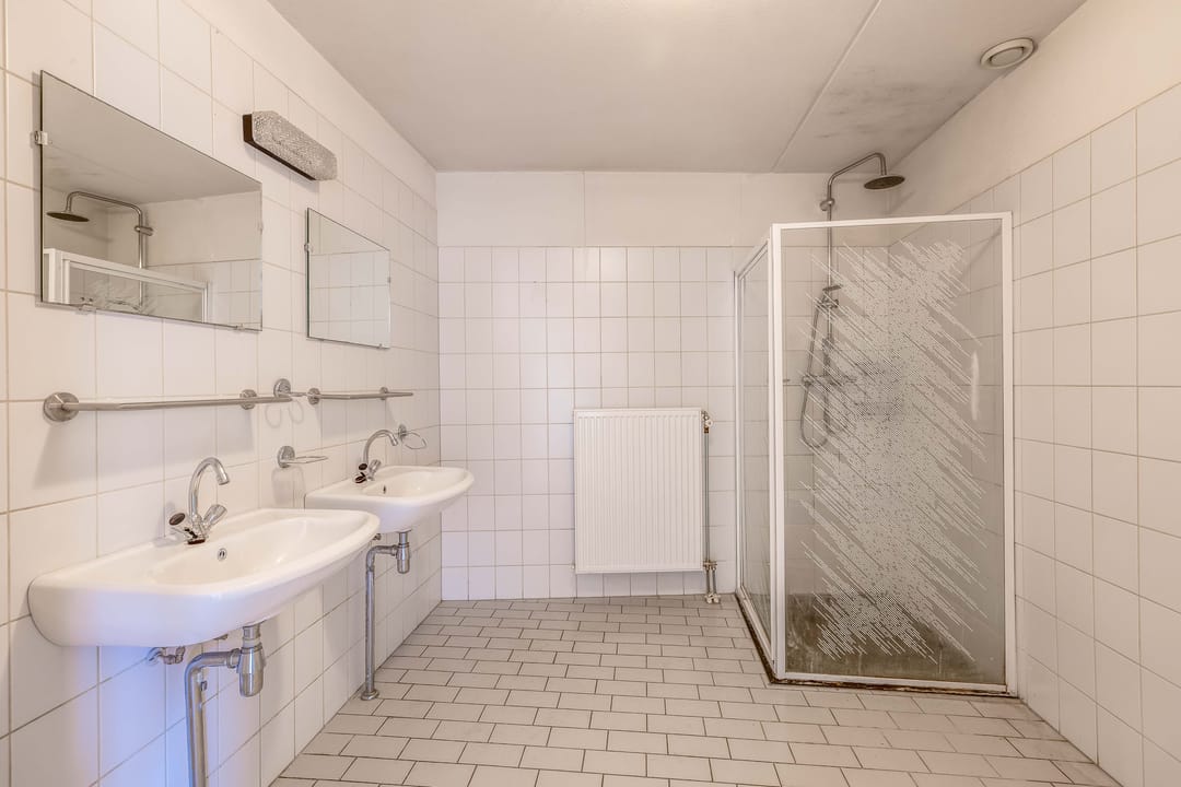 Foto 11 van Honingklaver 10