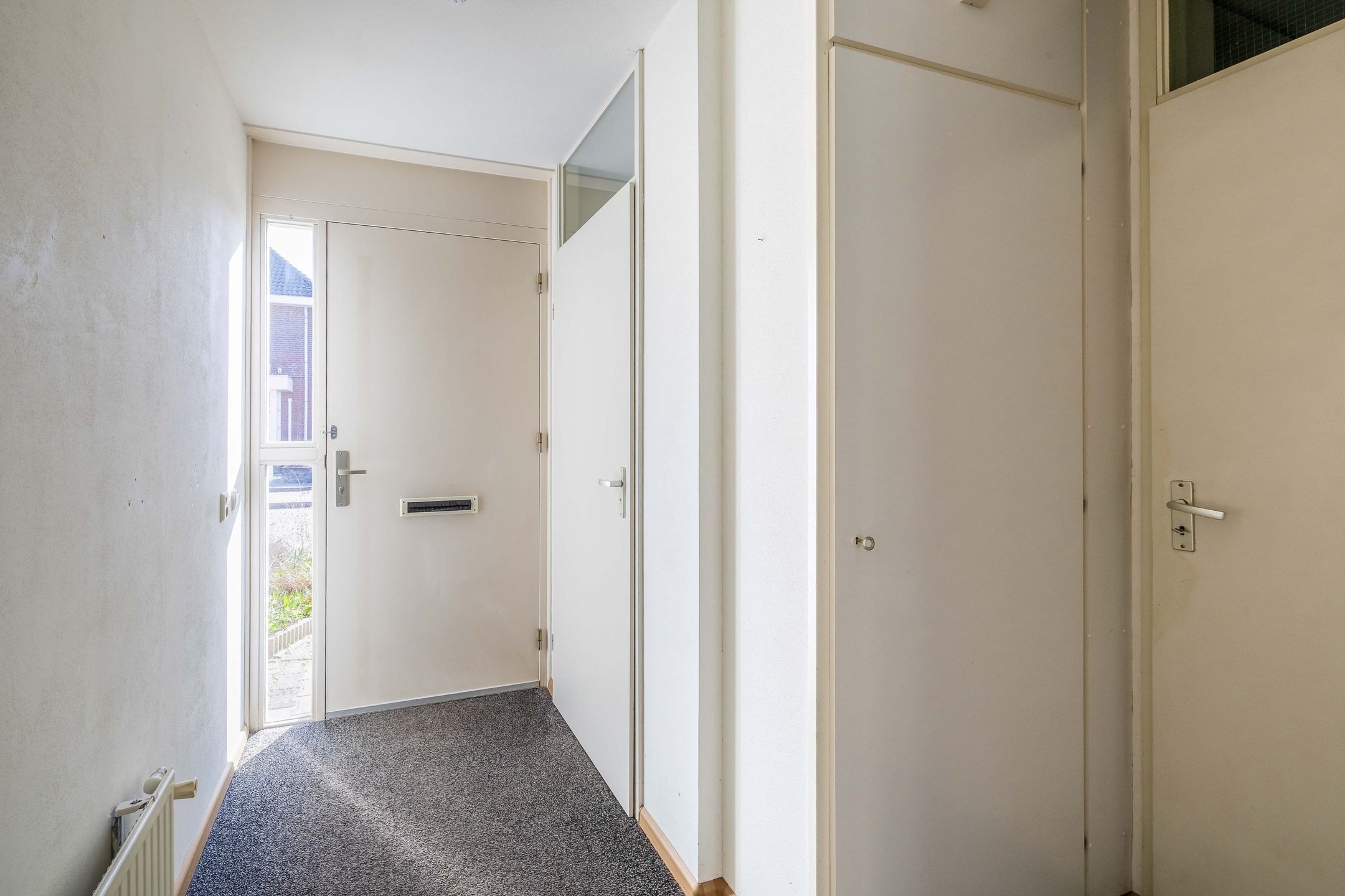 Foto 12 van Honingklaver 10