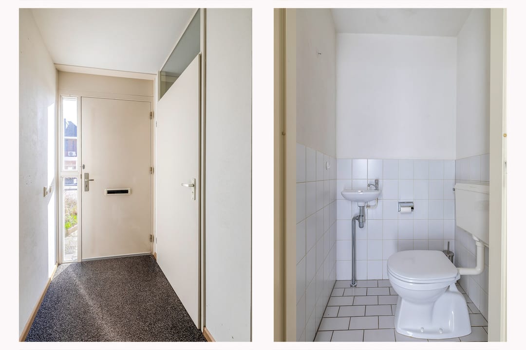 Foto 13 van Honingklaver 10