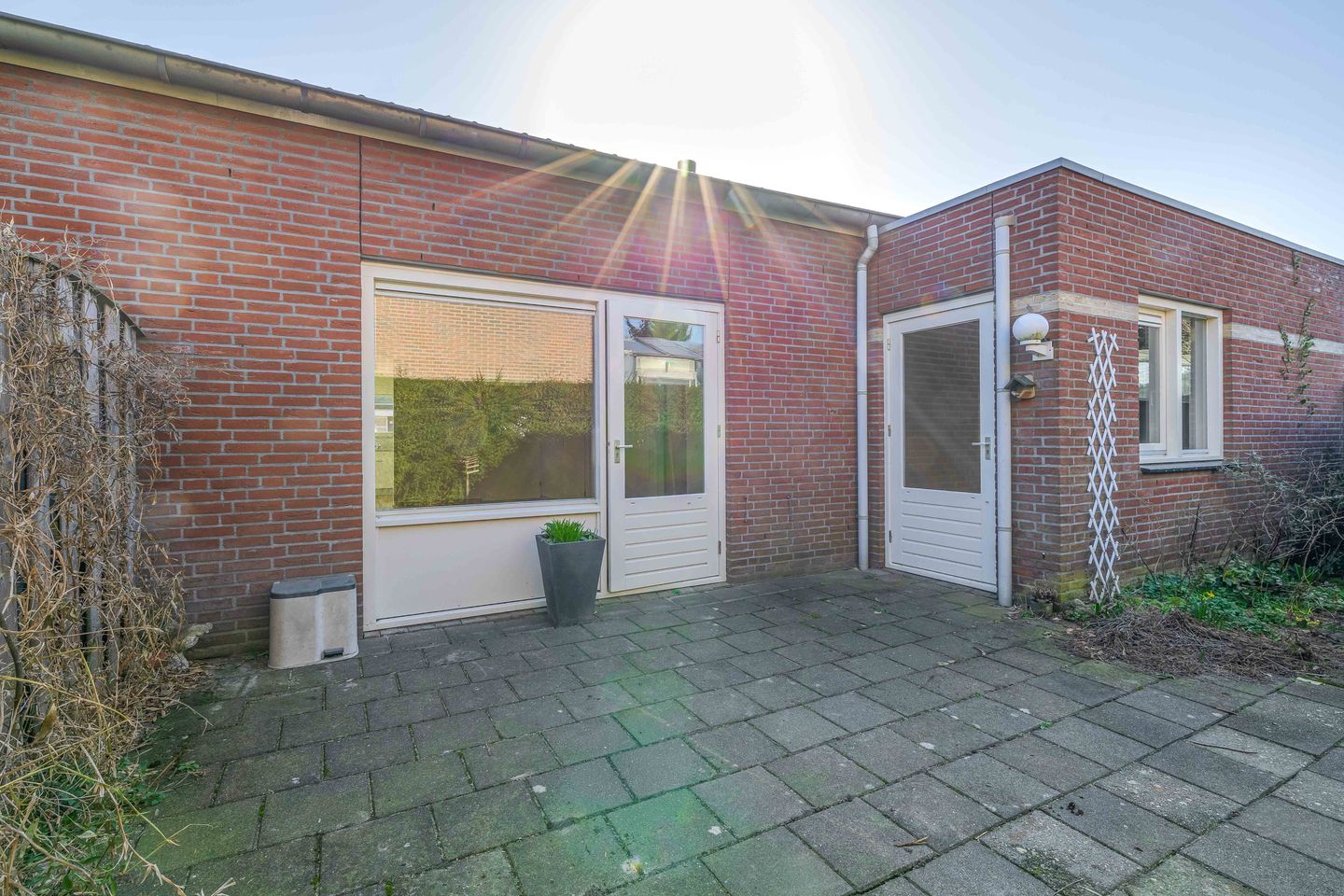 Foto 20 van Honingklaver 10