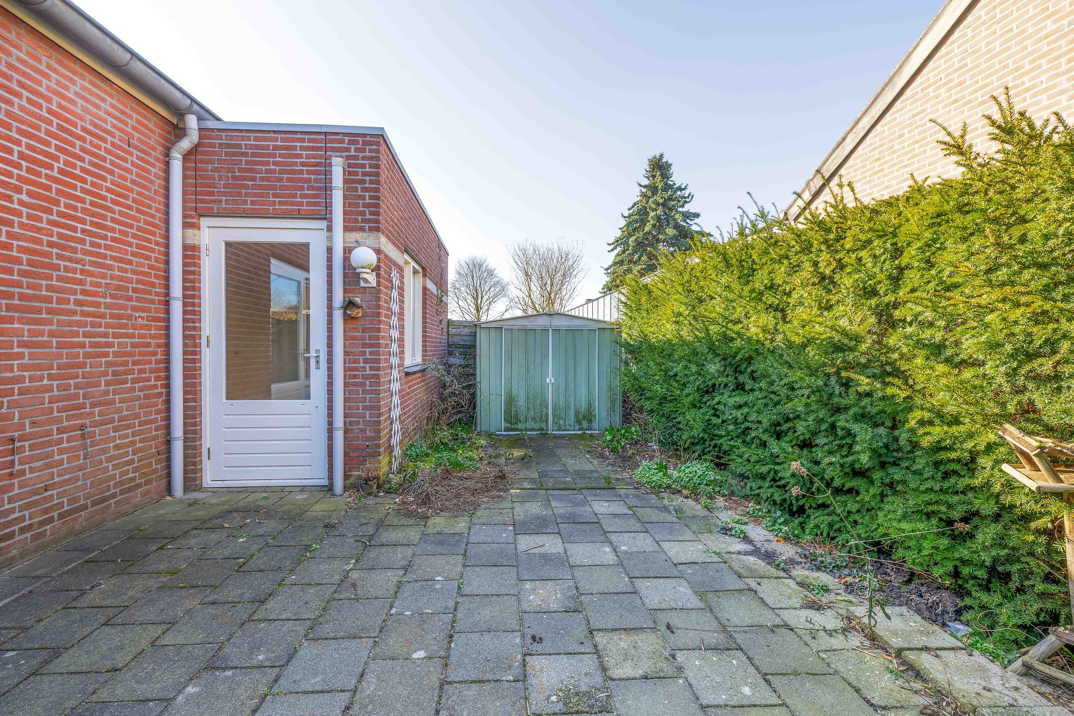 Foto 21 van Honingklaver 10