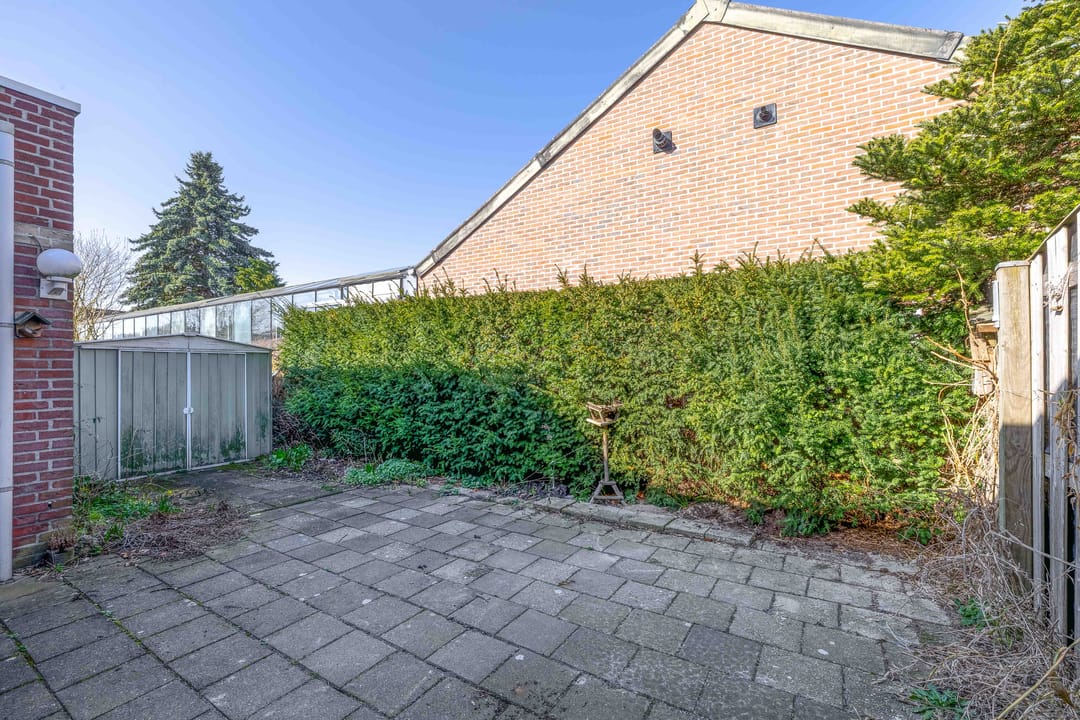 Foto 23 van Honingklaver 10