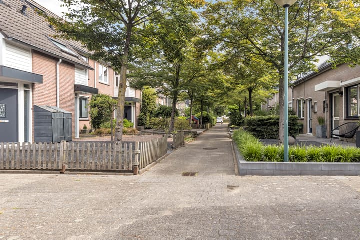 Foto 5 van Aronskelk 1