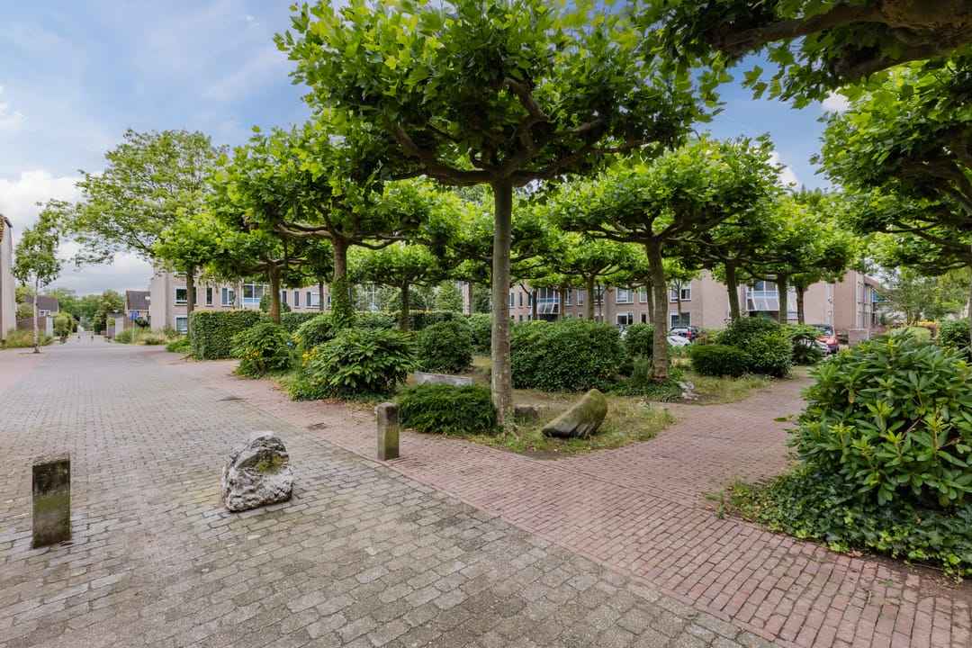 Photo 37 of Aronskelk 1