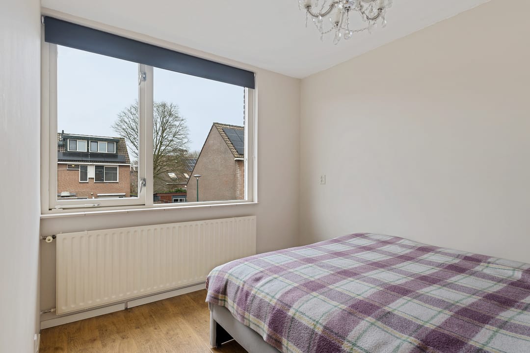 Photo 13 of Zebraspoor 601