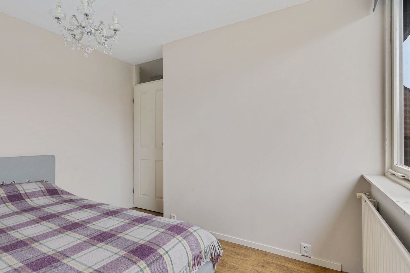 Photo 14 of Zebraspoor 601