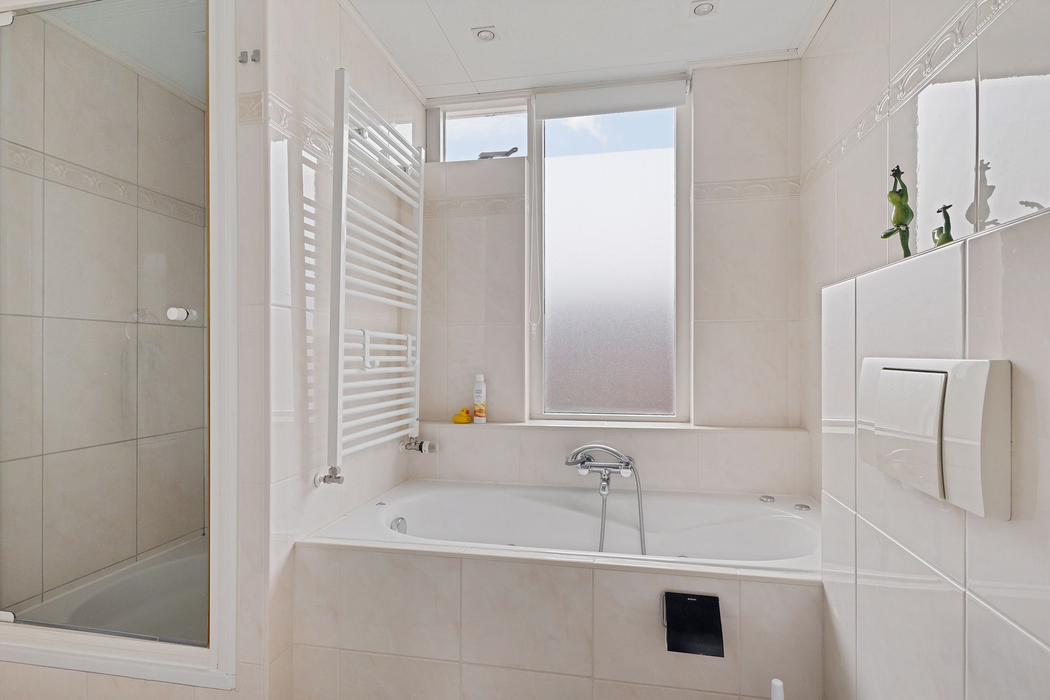 Photo 18 of Zebraspoor 601