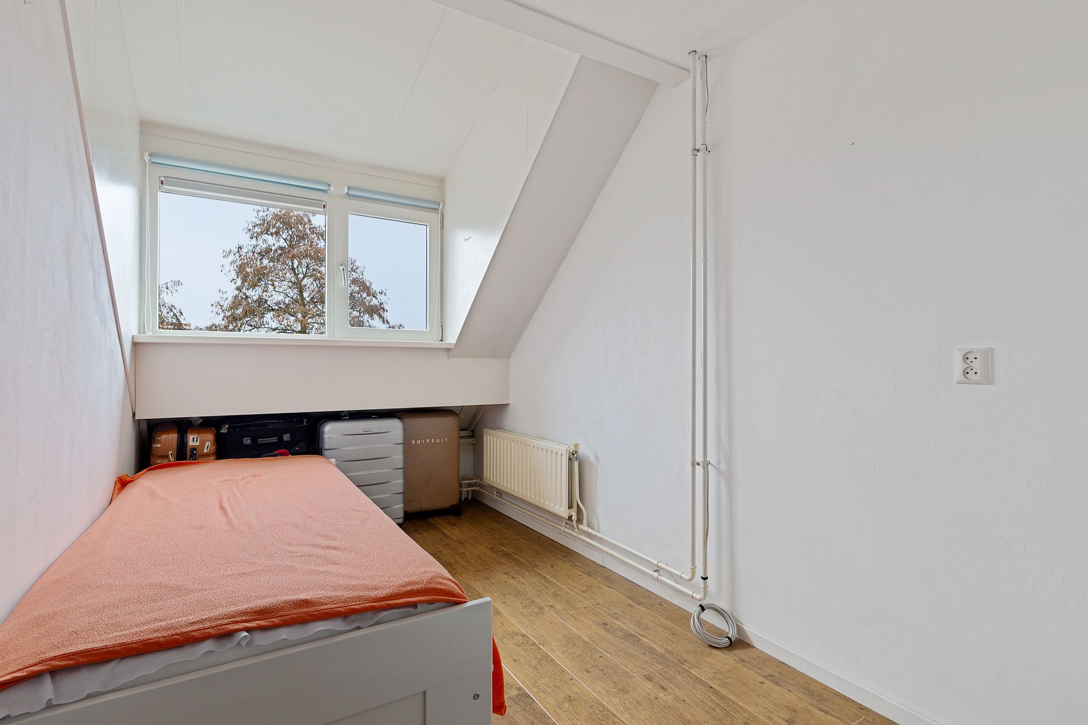 Photo 24 of Zebraspoor 601