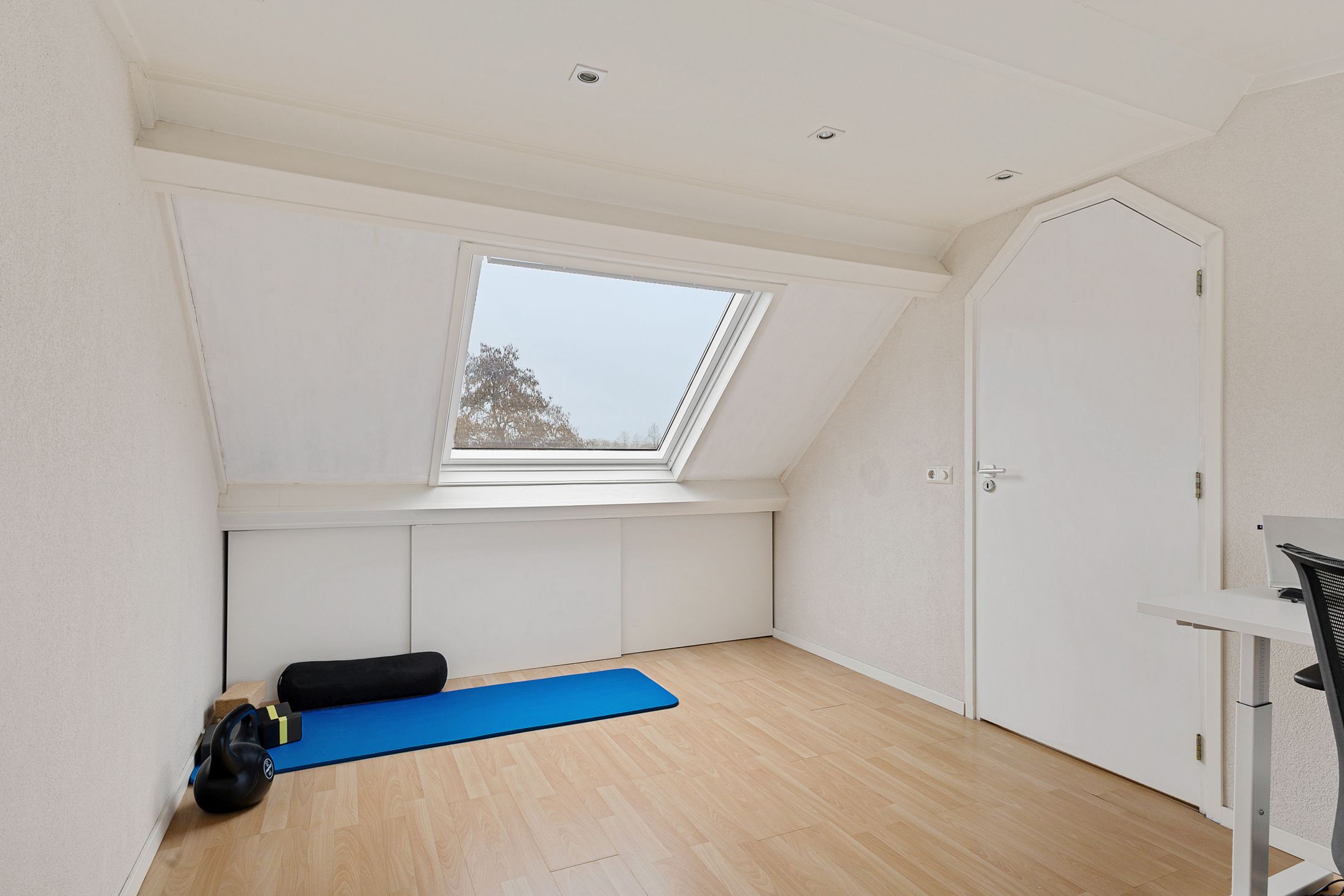 Photo 27 of Zebraspoor 601