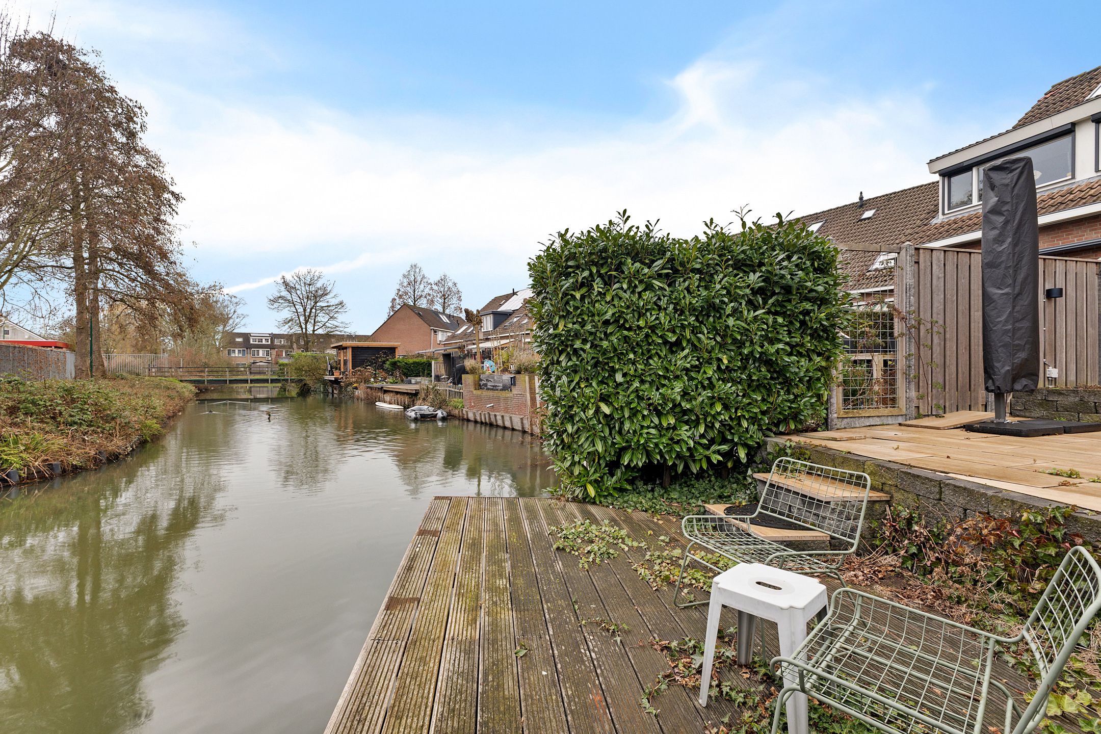 Photo 30 of Zebraspoor 601