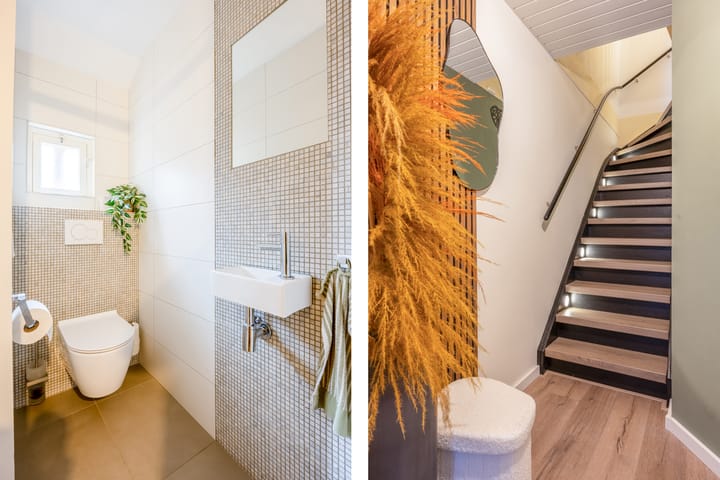 Foto 2 van Kruisdistel 24