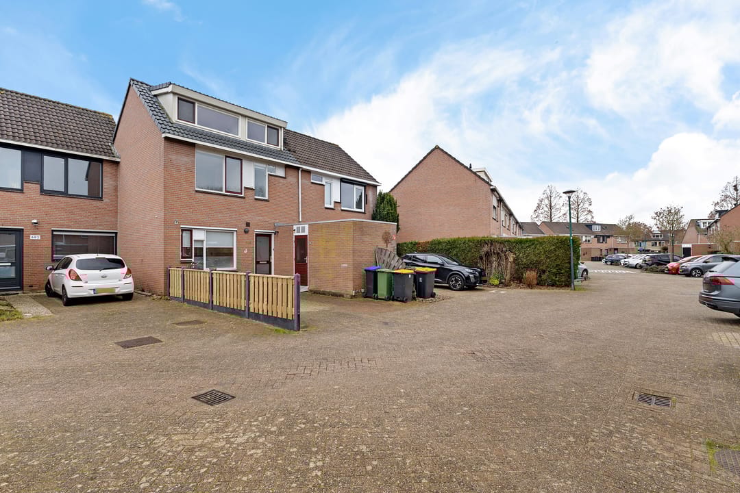 Photo 32 of Zebraspoor 601