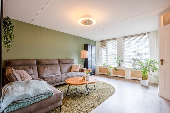 Foto 5 van Kruisdistel 24