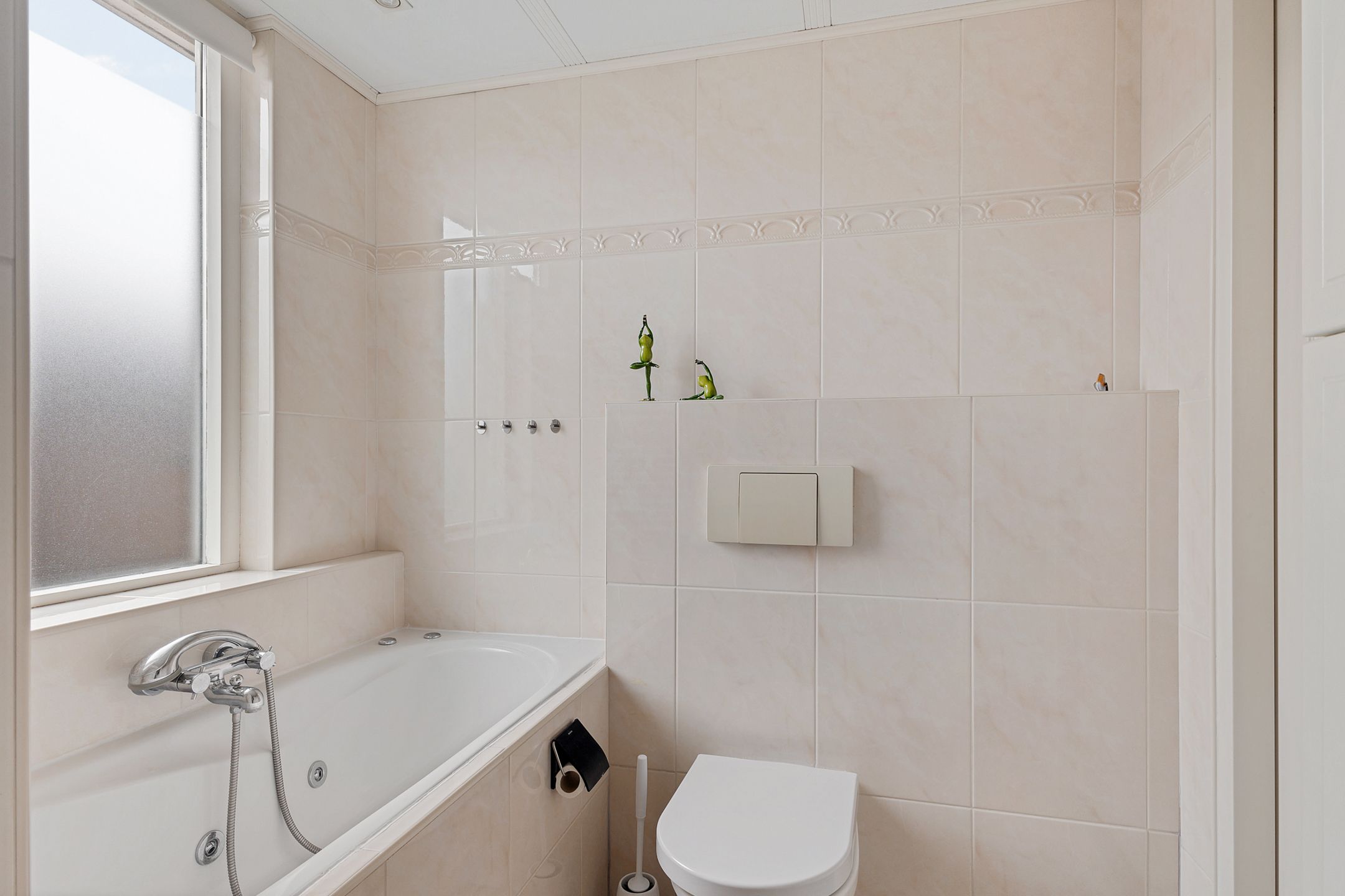 Photo 21 of Zebraspoor 601