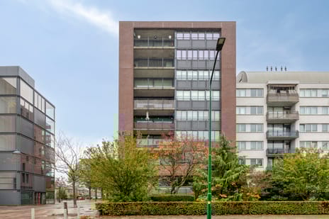 Duindoornstraat thumbnail