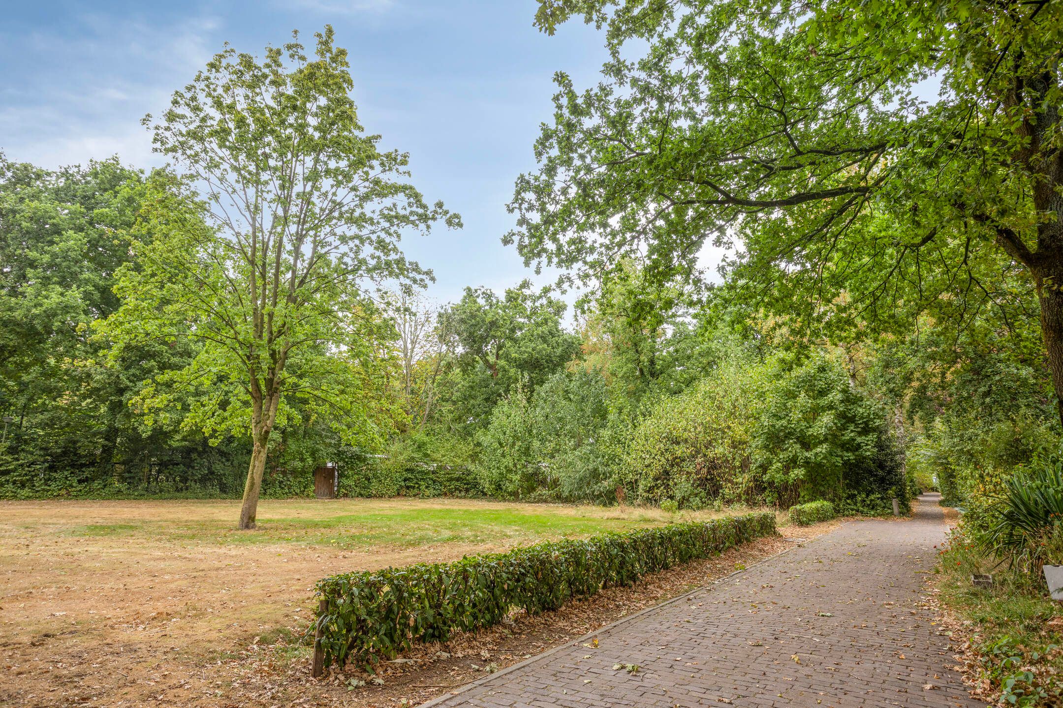 3-bedroom freehold villa in Schaijk — photo 4 of 5