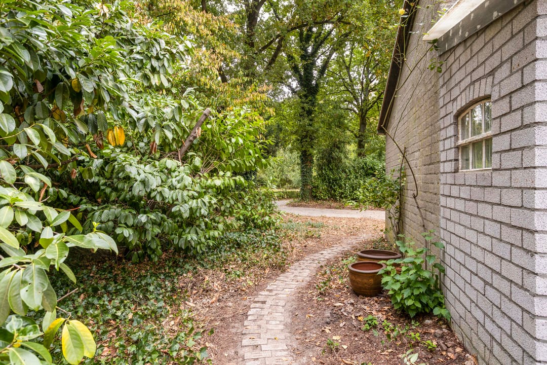 Photo 31 of Luijtenbroek 97