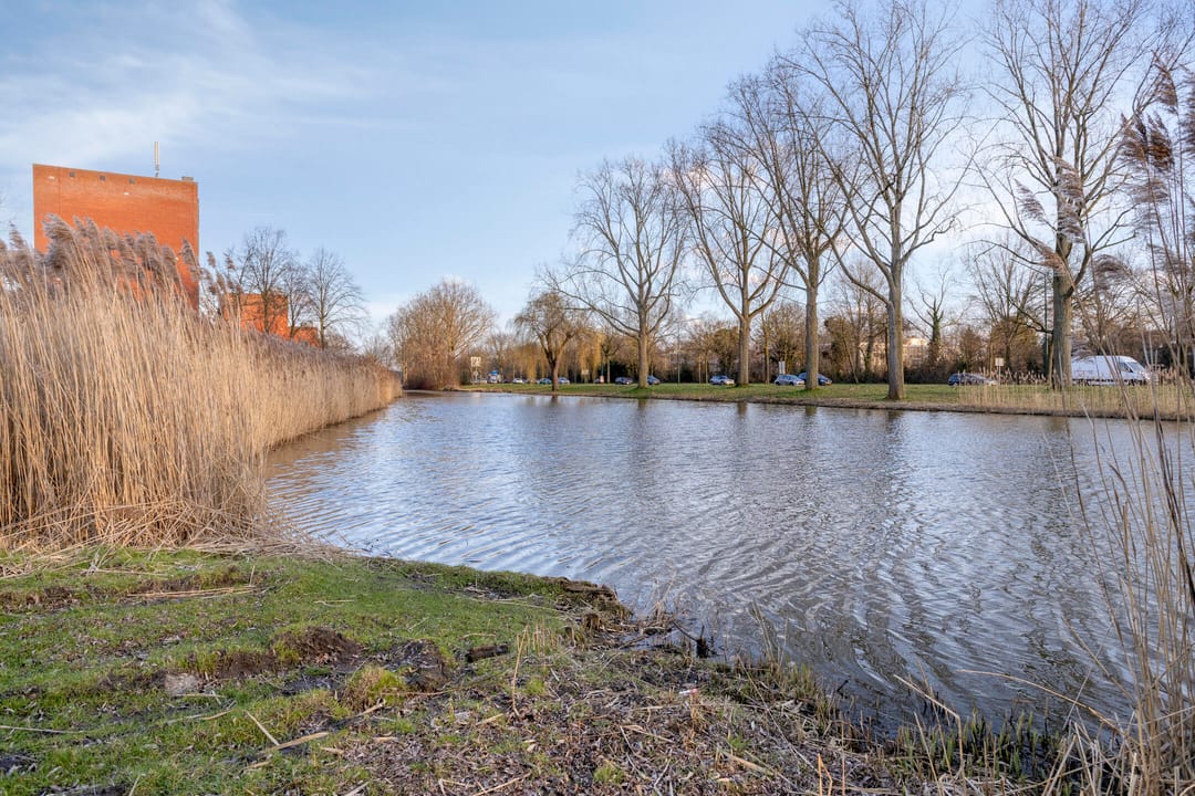 Foto 22 van Lelystraat 2-E60