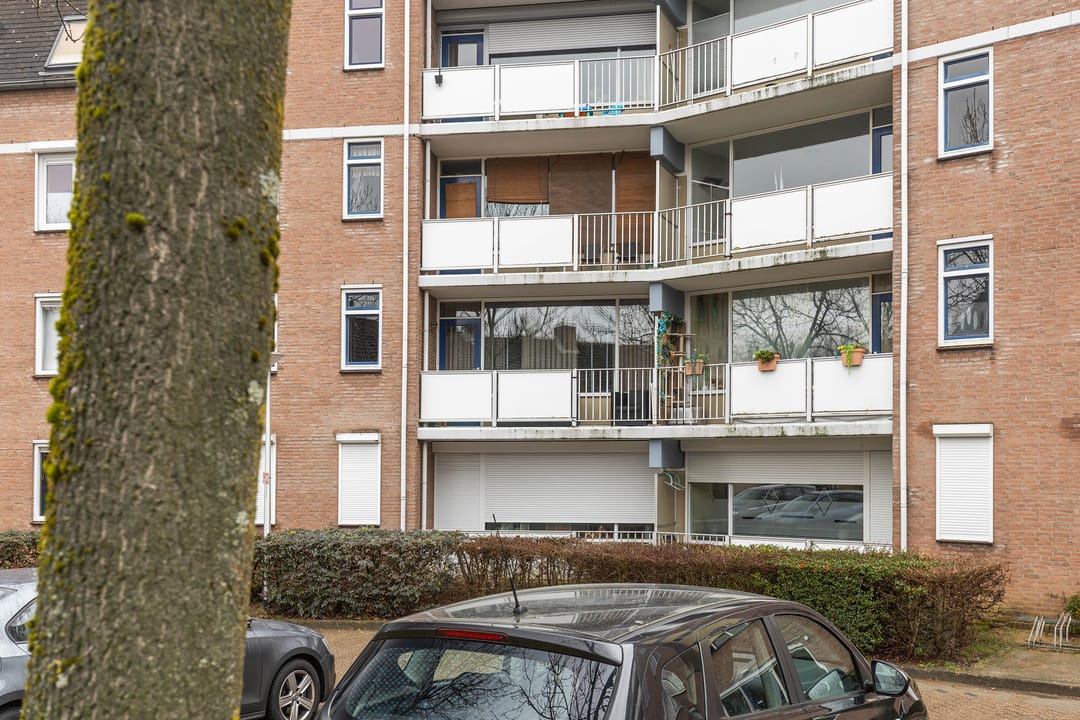 Foto 8 van Zeskant 55