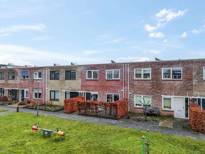 Kompas 26 main image