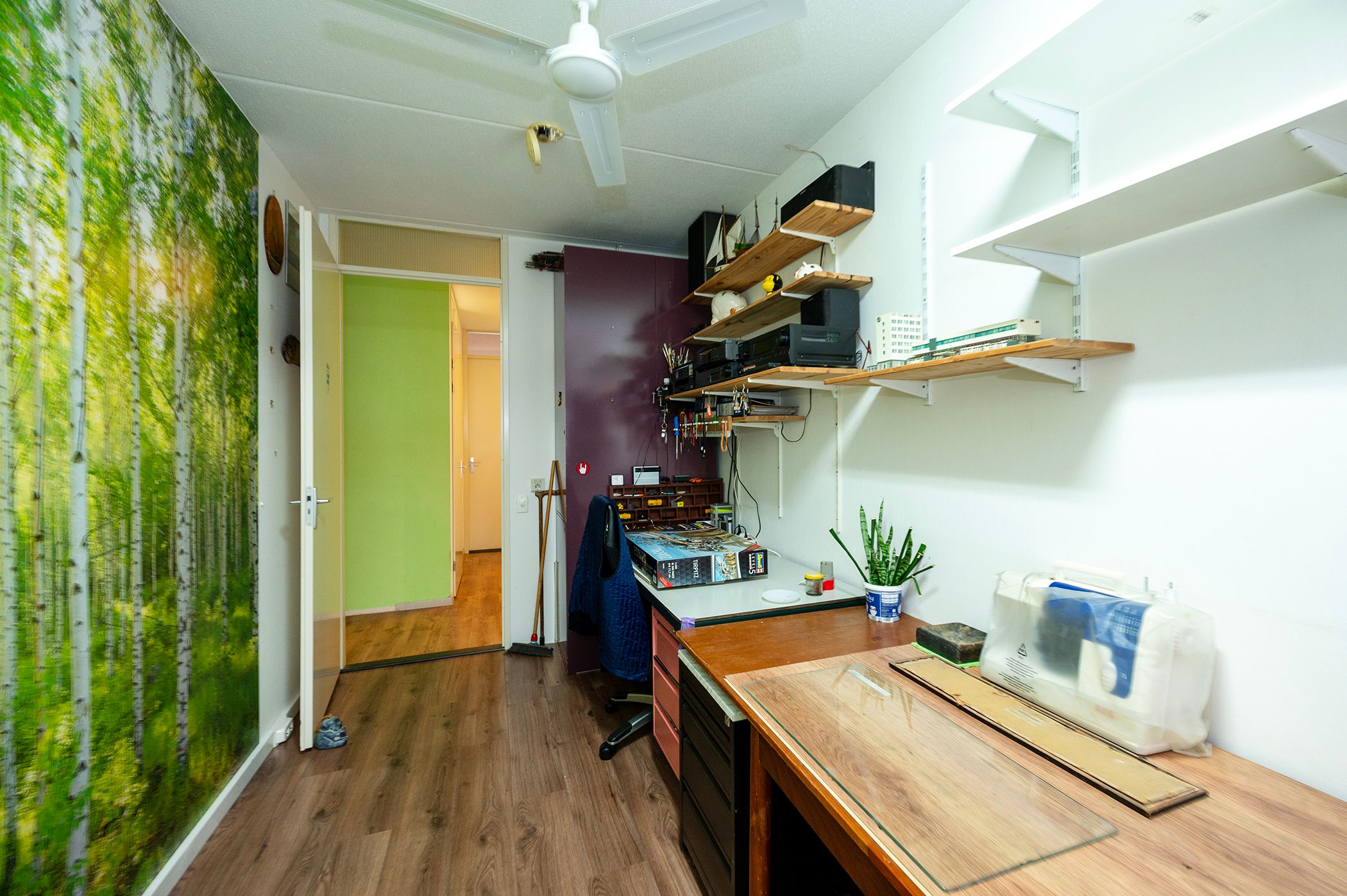 Photo 24 of Professor Cumulusstraat 4