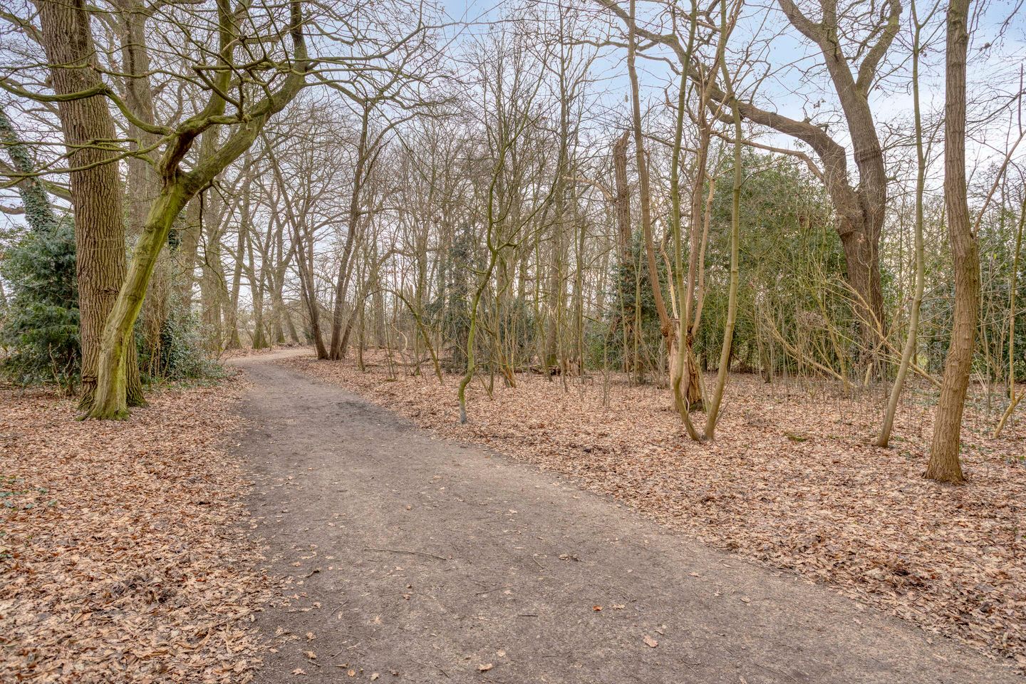 Foto 35 van Tanimbarlaan 5