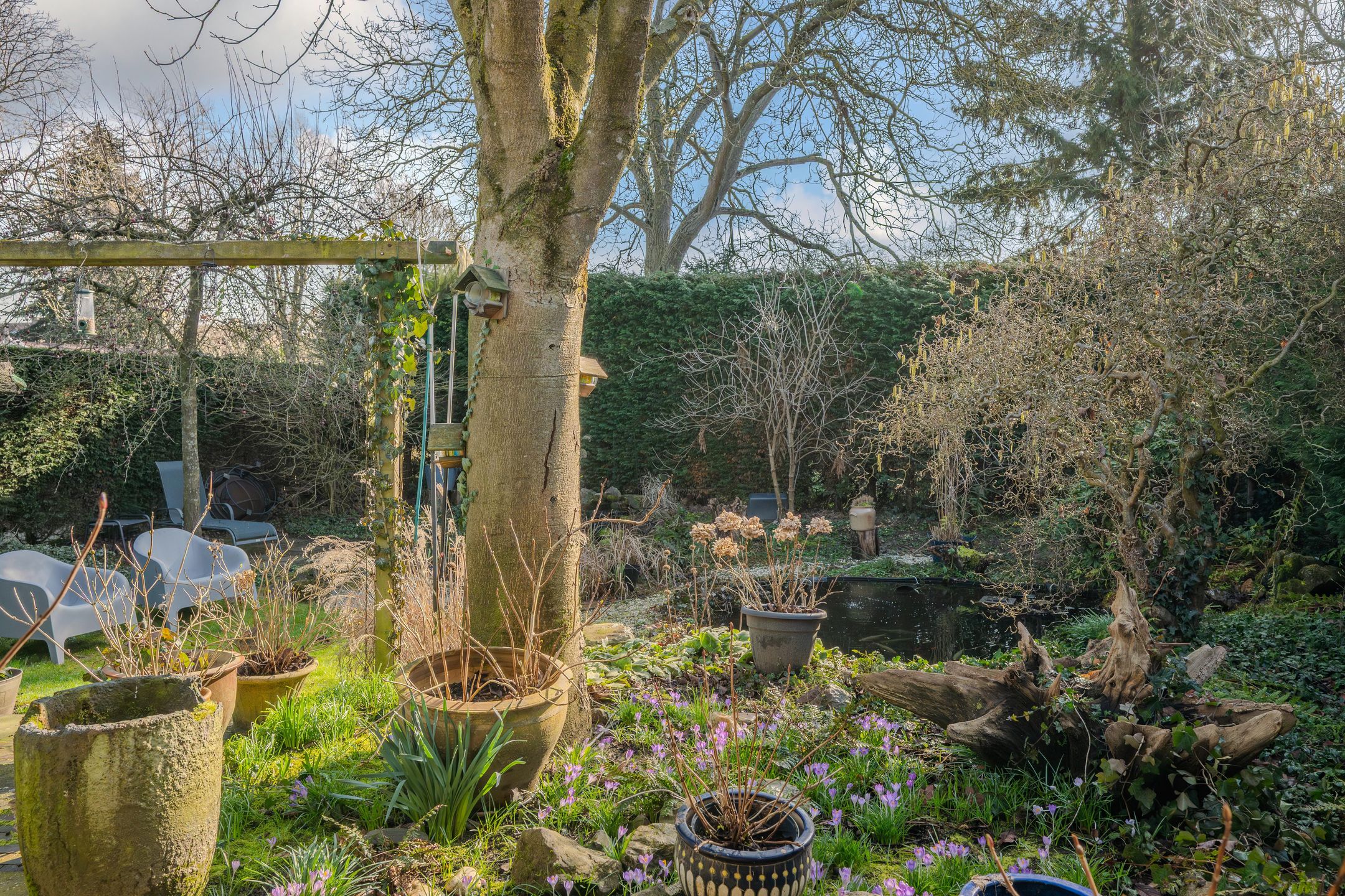 Foto 57 van Graaf de Hompeschstraat 2