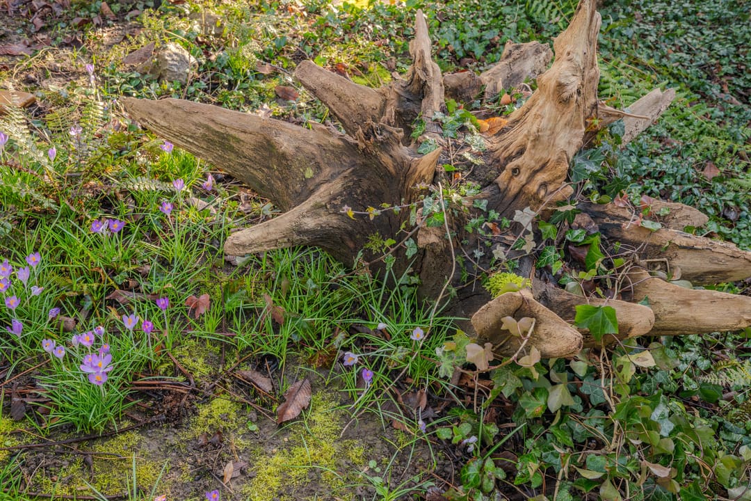 Foto 58 van Graaf de Hompeschstraat 2