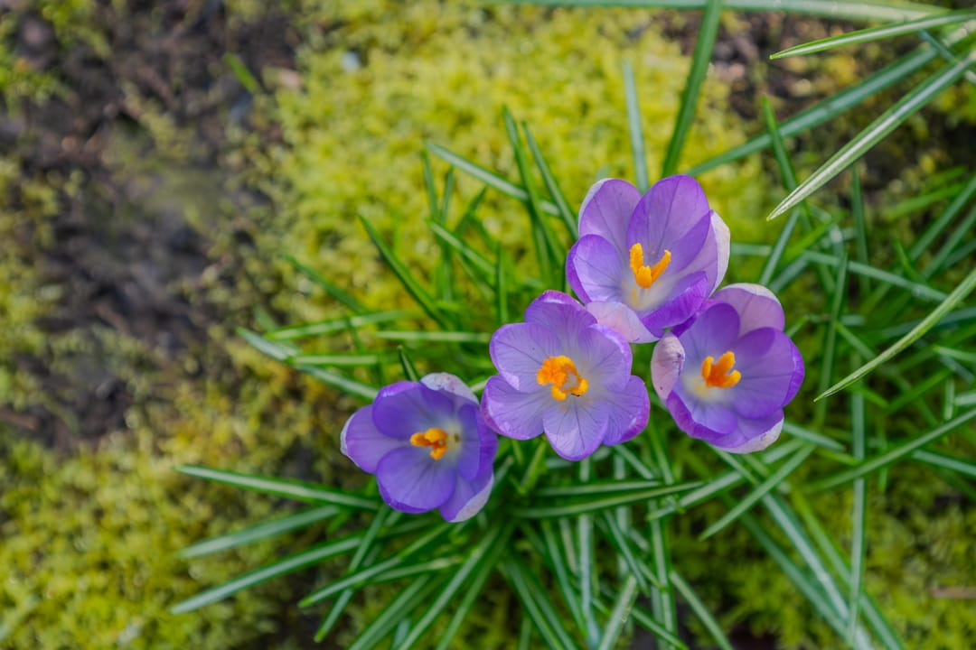 Foto 61 van Graaf de Hompeschstraat 2