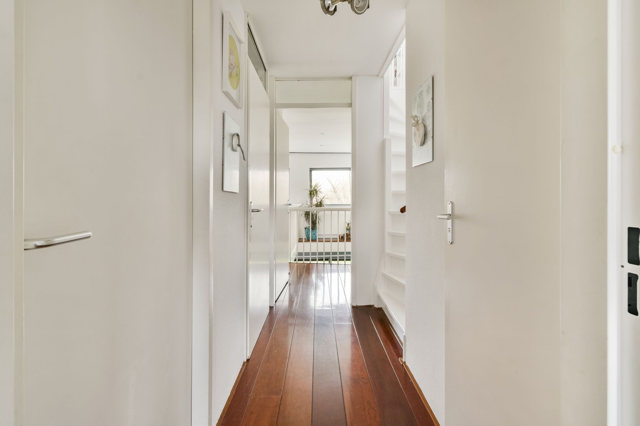 Foto 12 van Balsa 117