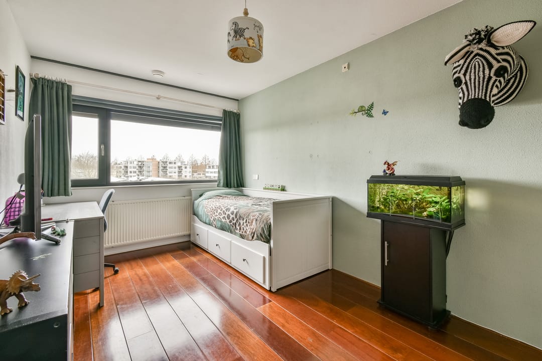 Foto 16 van Balsa 117