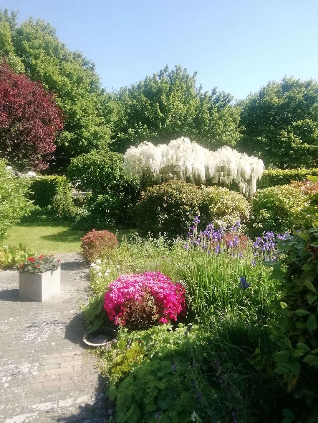 Photo 32 of de Pôle 6