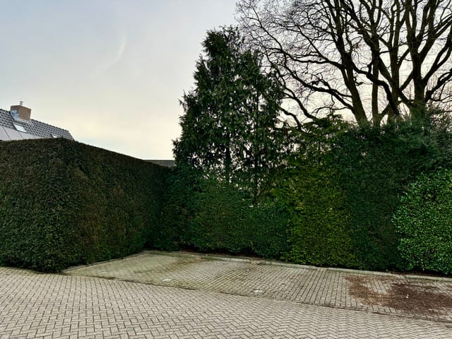 Photo 34 of Poggenbeekstraat 3