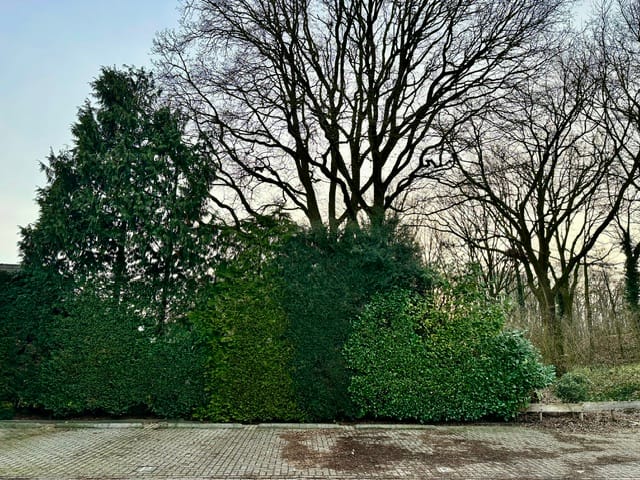 Photo 35 of Poggenbeekstraat 3