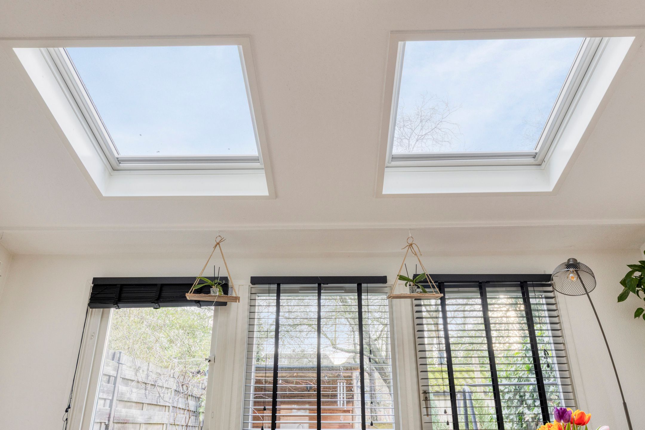 Foto 9 van Aïdaschouw 53