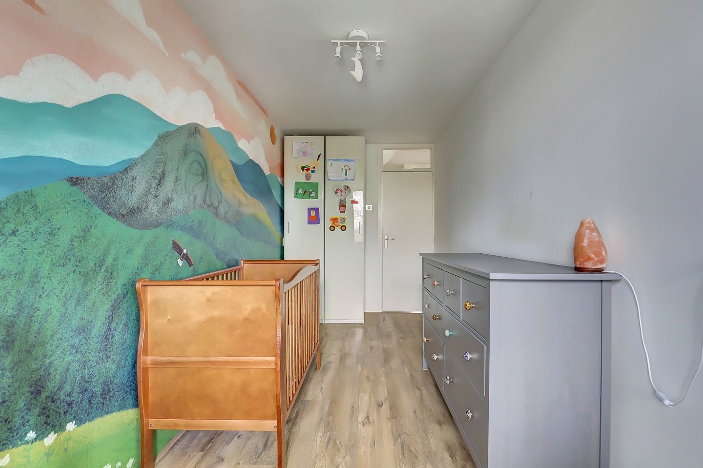 Foto 29 van Bijdorpstraat 8