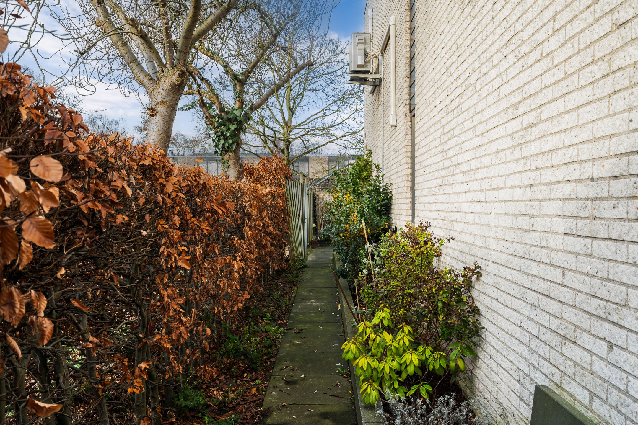 Foto 42 van Diamant 65