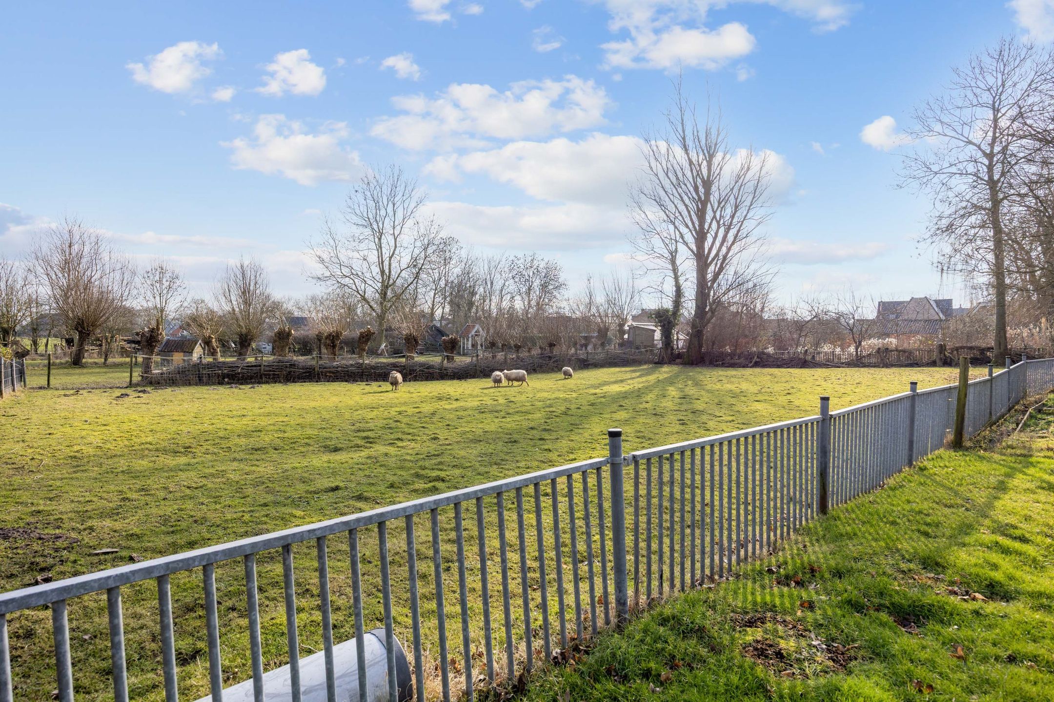 Foto 48 van Hogeweg 6