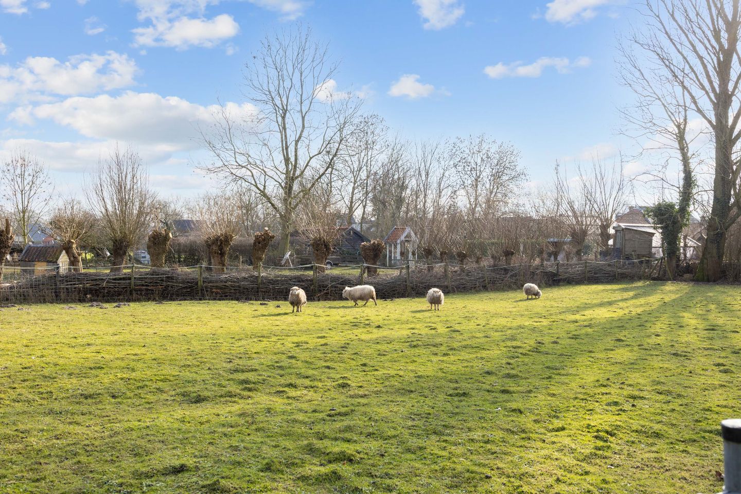 Foto 49 van Hogeweg 6