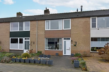 undefined main image