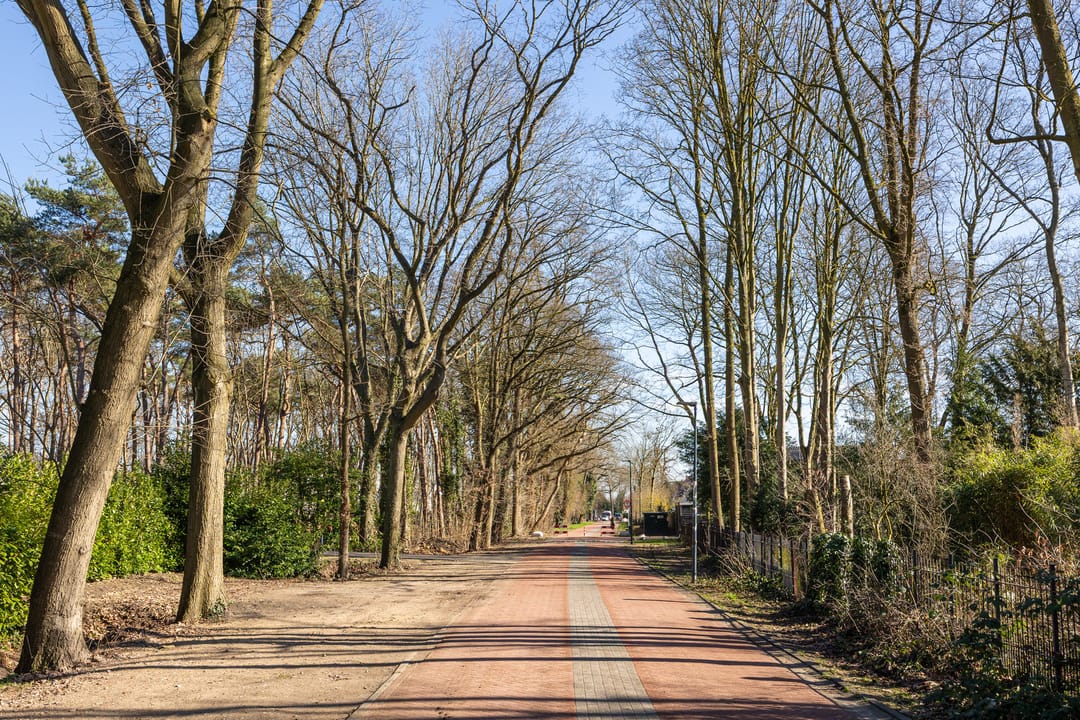 Photo 58 of Jachterf 11