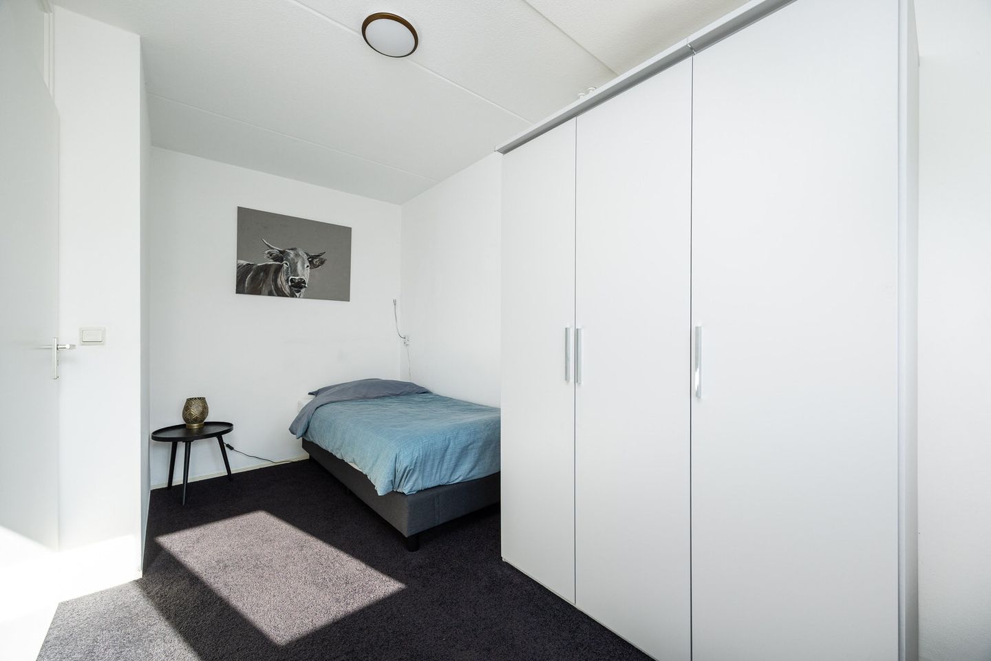 Foto 50 van Jachterf 11