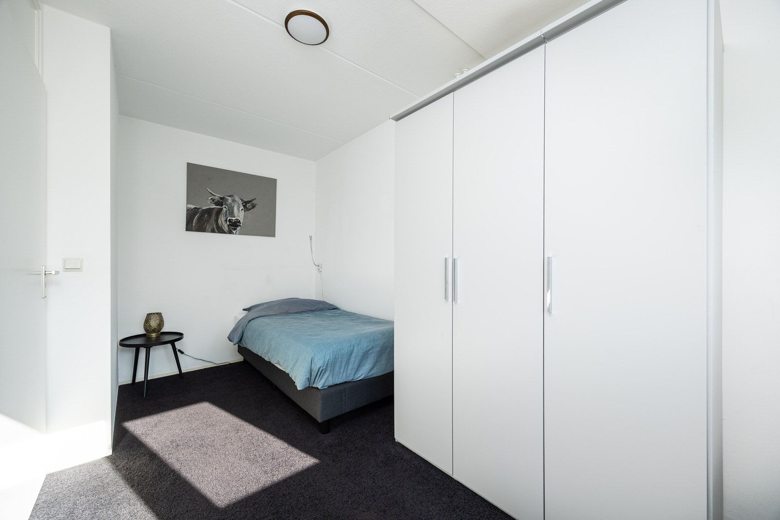 Photo 51 of Jachterf 11